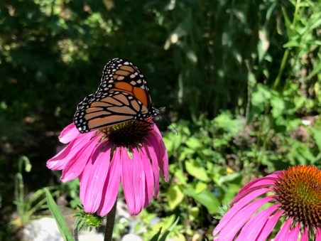 5BAB1018-D4BA-4D87-A015-77322B8BBD70