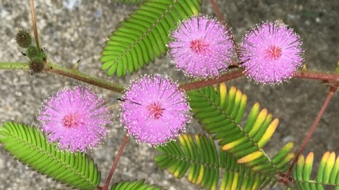 99EA3F3C-907F-4893-9511-39772602C712